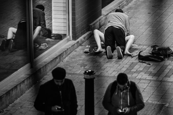 DSC_0637