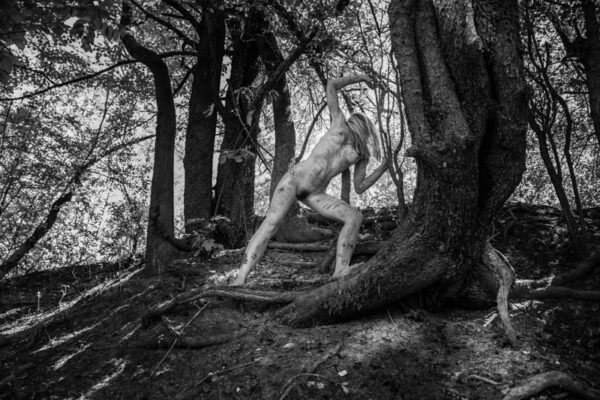 DSC_6560
